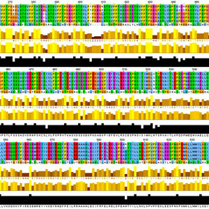Human telomerase reverse transcriptase