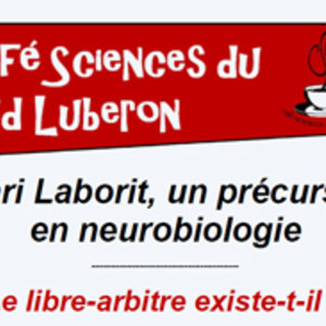 annonce conférence HL