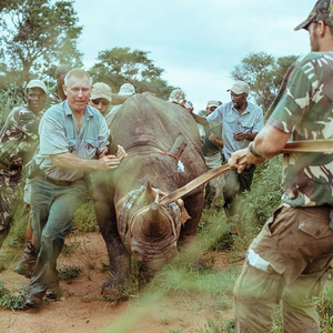 Rhino rwanda