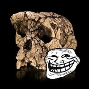 Sahelanthropus troll