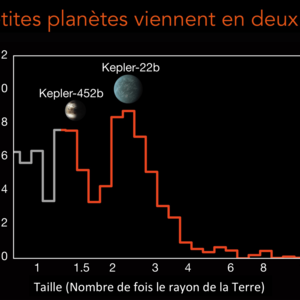 Les petites planètes viennent en deux tailles