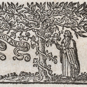 Arbre de la connaissance