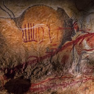 prehistoire-grotte-dessins