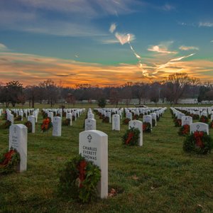 Capsule Pascal Des fausses nouvelles pour faire la guerre cimetière Arlington.jpg (602.86 Ko)