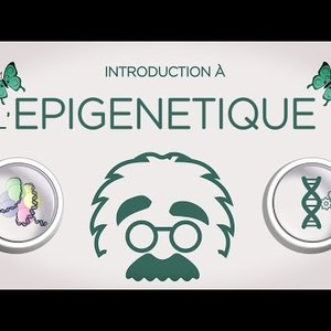 Neuracademia