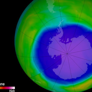 DDR-Ozone