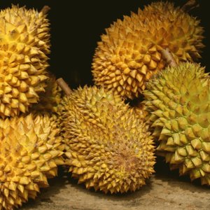 Capsule Pascal Le génome du roi des fruits (et de son odeur).jpg (334.54 Ko) 