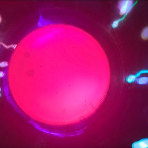 sperme-ovule