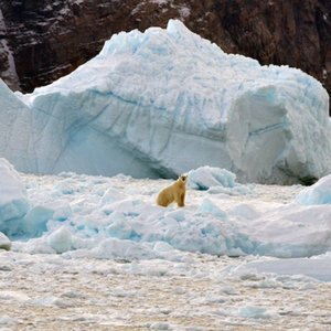 Capsule Pascal Arctique la plus grosse fonte en 1500 ans au moins.jpg (801.66 Ko) 