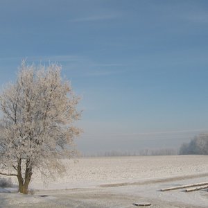 Québec en hiver