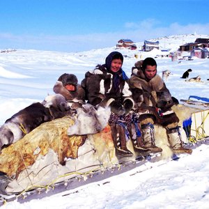 L'invention du traîneau à chiens