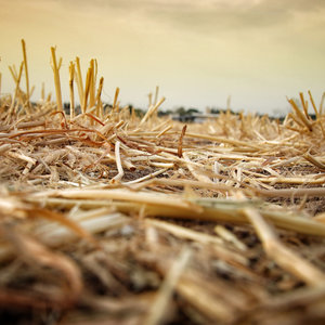 Changements climatiques
