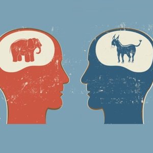 cerveau2.jpg (122.08 Ko) 