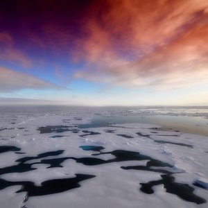 Arctique2.jpg (153.93 Ko) 