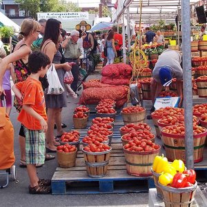 alimentation-Marche_Jean-Talon