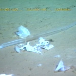 oceans-pollution-FosseMariannes
