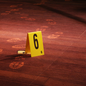 Criminalistique