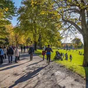 Mont-Royal.jpg (887.34 Ko) 