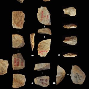 fossiles-pierres-Chine-2-1millions