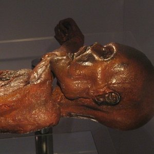 otzi-277986_960_720.jpg (298 Ko) 