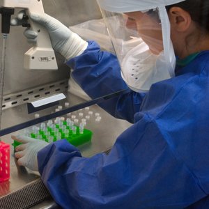 H7N9-CDC-transfert-2013