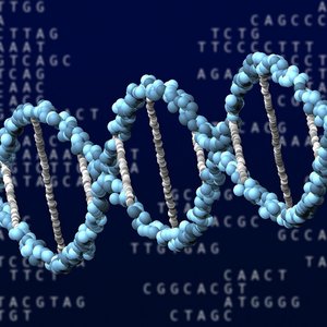 ADN 3.jpg (322.6 Ko) 