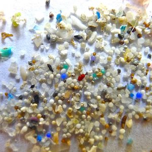 plastique-microplastiques