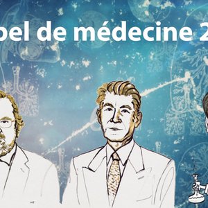 Nobel de médecine 2018