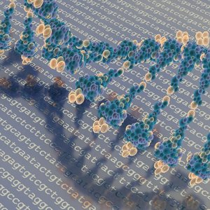 ADn-genetique