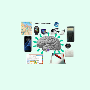 Cerveau2.png (289.25 Ko) 