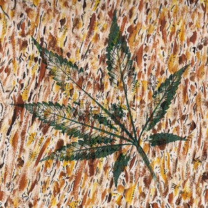 Field of wheat