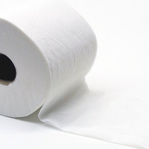 toilette-papier