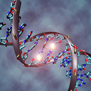 DNA2.png (563.61 Ko) 