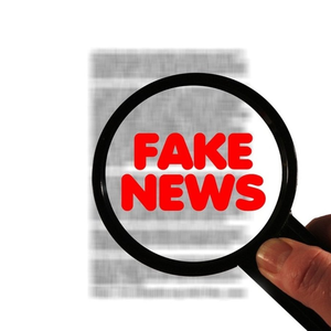 Fake News2.png (550.87 Ko)