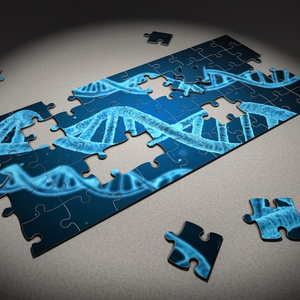 ADN Pixabay.png (1.26 Mo) 