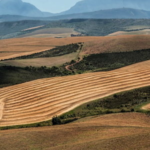 terre agricole 2.png (2.02 Mo) 