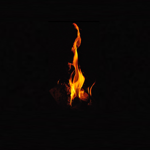 Un premier barbecue il y a 1,5 million d’années_0.png (336.78 Ko) 