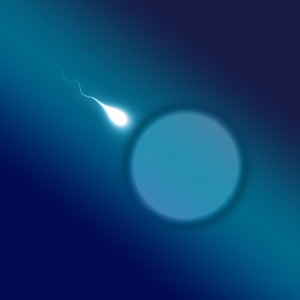 sperme.png (558.54 Ko) 