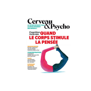 Cerveau19_0.png (288.76 Ko) 