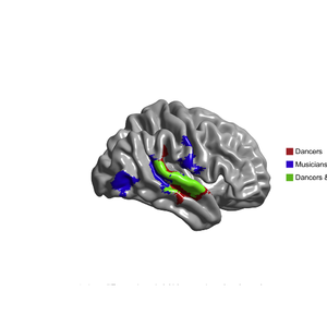 cerveau20.png (177.45 Ko) 