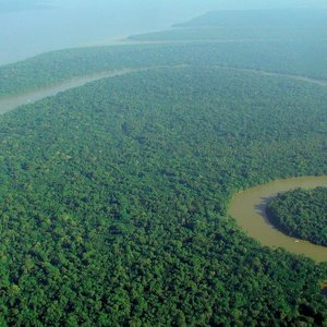 Amazonie-vueaerienne