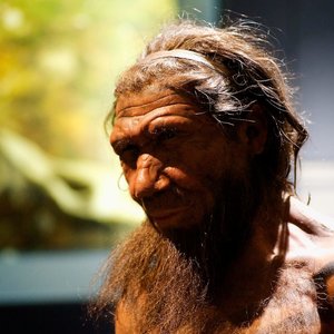 Neandertal-NaturalHistoryMuseum