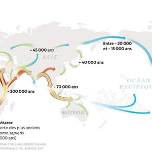 migrations-HomoSapiens