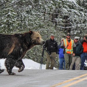 ours-route