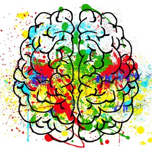 Cerveau