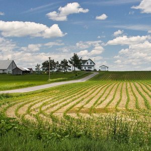 agriculture-printemps