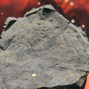 meteorite Murchison