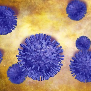 coronavirus