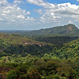 Amazonie-Surinam