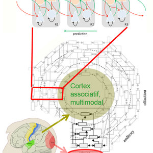 cercles concentriques